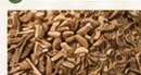 Biomass feedstock for carbonized fuel