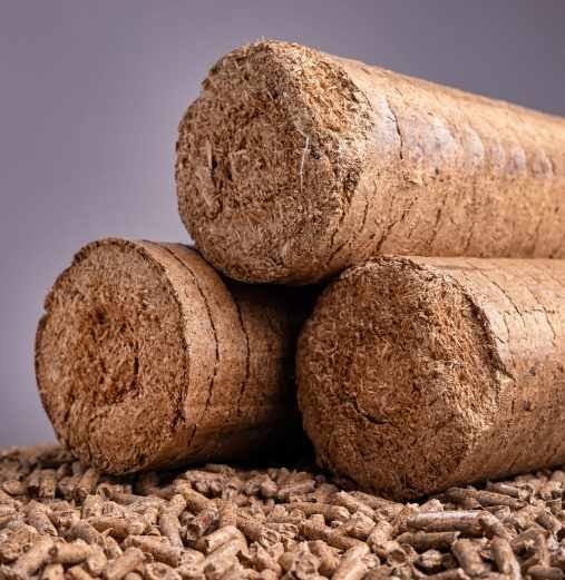 Biomass briquettes